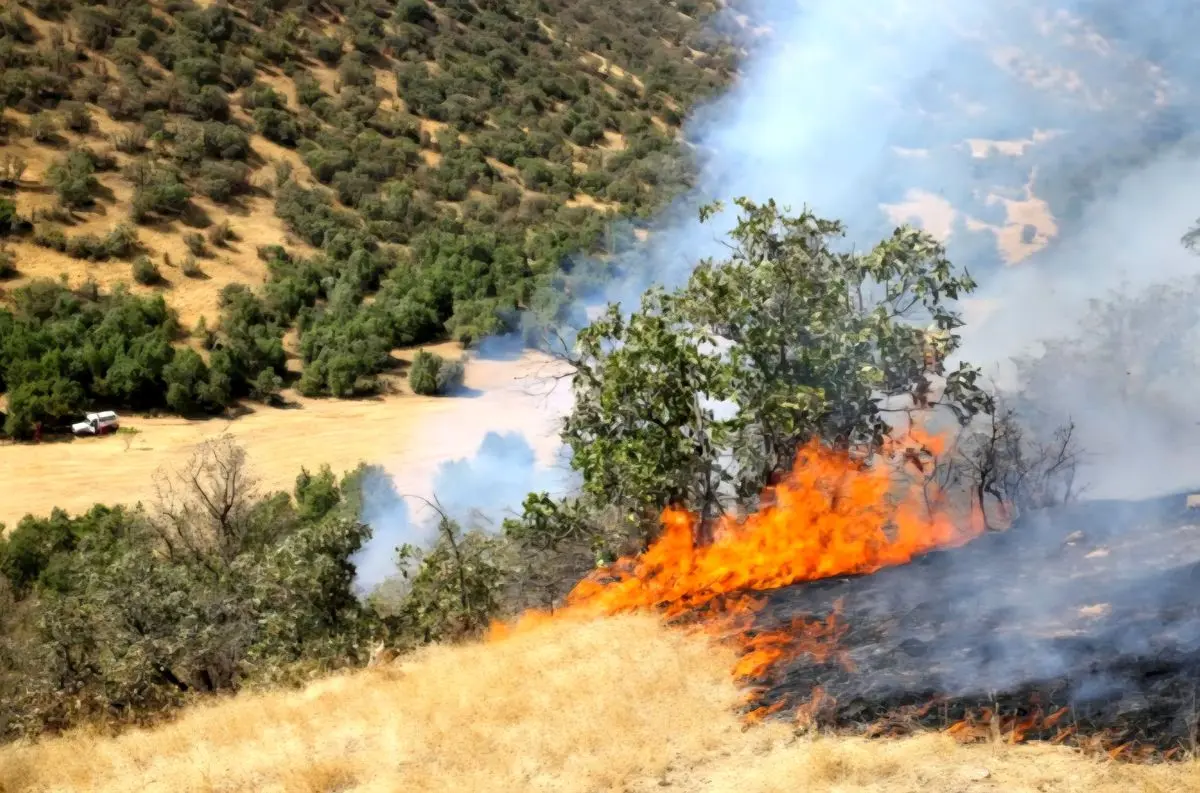آتشسوزی در بخشی از جنگلهای مرزنآباد چالوس