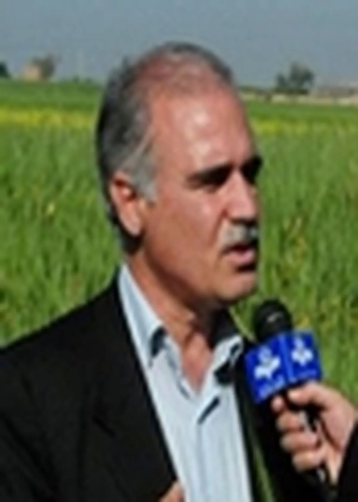 کشت سماق به صورت پرورش نهال در آذربایجان شرقی آغاز شد