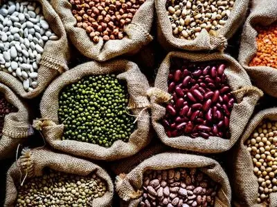 قیمت حبوبات در میادین میوه و تره‌بار اعلام شد