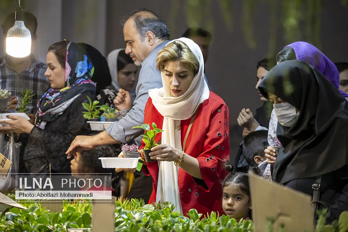  ۱۵ گیاه که می‌توانید از یک برگ تکثیر کنید