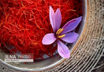 بازار نگران شوک عرضه زعفران دپوی تعاون روستایی/ نیاز به ایجاد لنگرگاه محصولات کشاورزی در ۵ قاره داریم/ خرید حمایتی زعفران تاثیر منفی بر بازار دارد