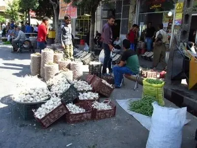 تدارک یک هزار برنامه آموزشی برای شهروندان کرمانشاهی/هدف ما ساخت شهری زیبا و تمیز است