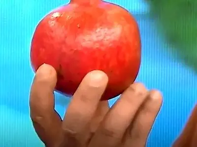 انار را این‌ گونه بخورید + فیلم