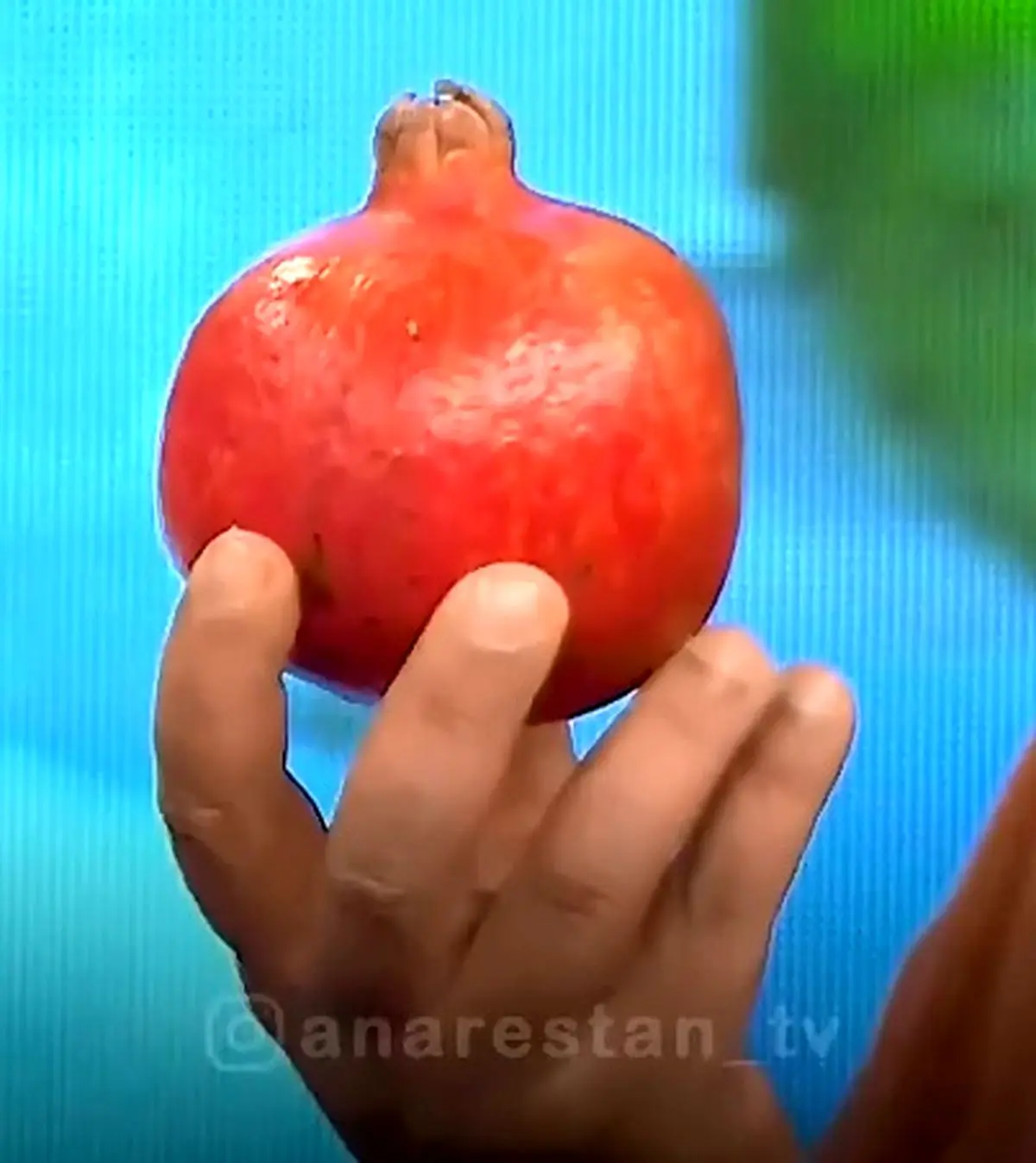 انار را این‌ گونه بخورید + فیلم