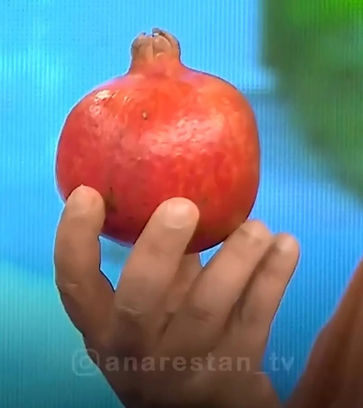 انار را این‌ گونه بخورید + فیلم