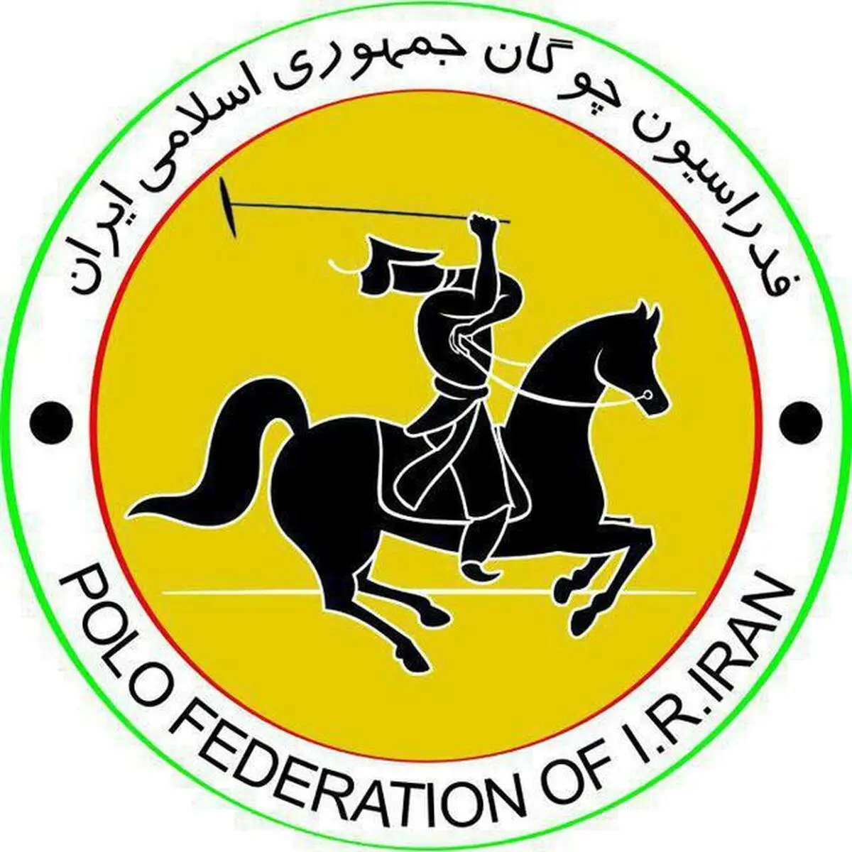 عبور سرپرست فدراسیون چوگان از خط قرمز وزیر ورزش!