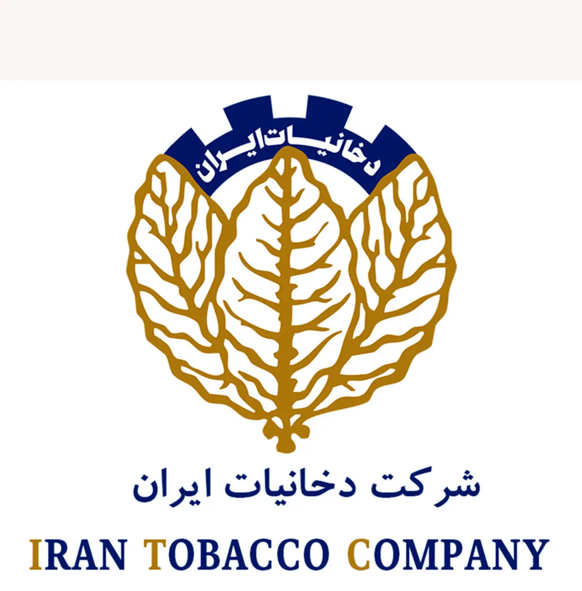 iranian tobacco company وقتی زحمات شرکت دخانیات دود هوا می‌شود