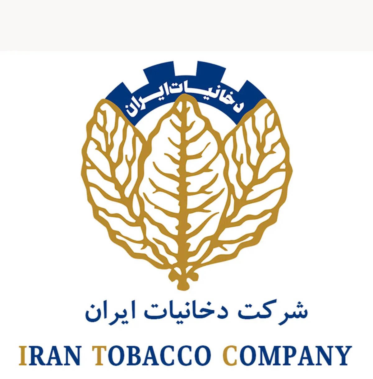 وقتی زحمات شرکت دخانیات دود هوا می‌شود