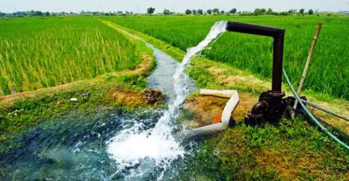 ۷۷ درصد تولیدات کشاورزی لرستان در اراضی آبی اتفاق می‌افتد