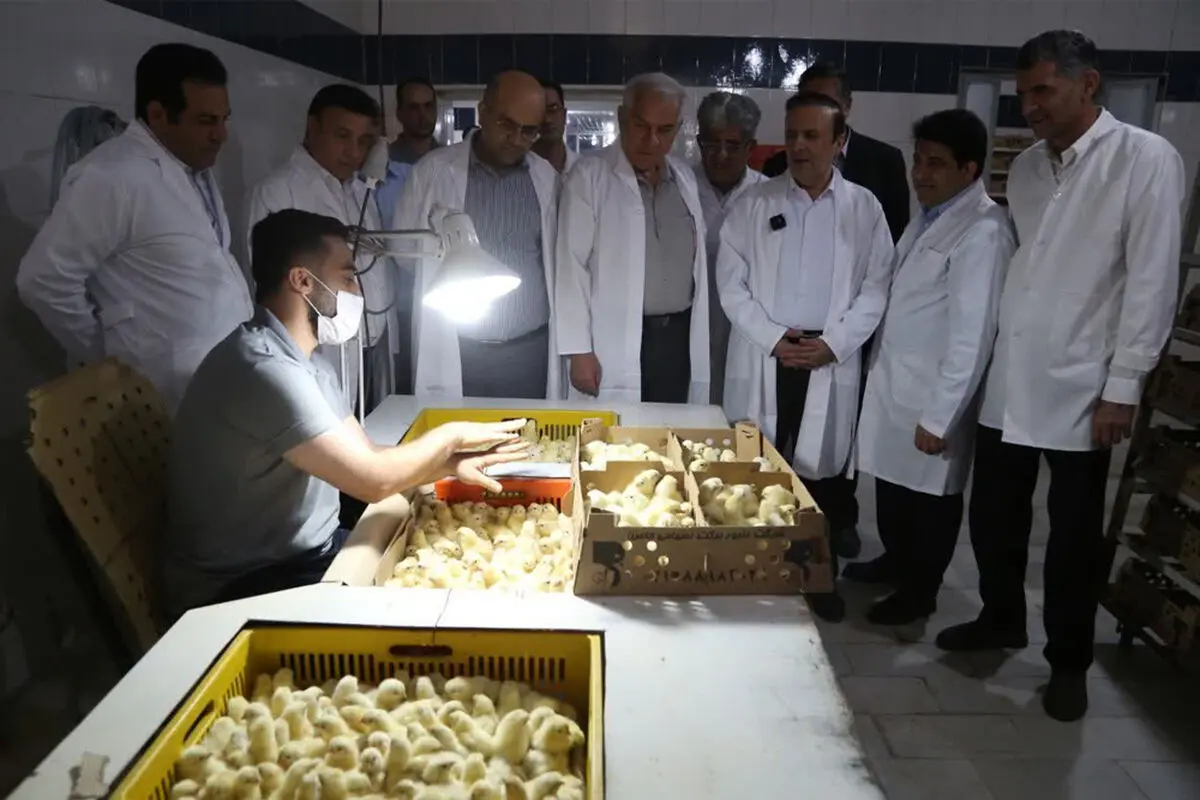 استاندار قزوین از  دو واحد صنعتی حوزۀ کشاورزی بازدید کرد
