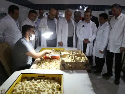 استاندار قزوین از  دو واحد صنعتی حوزۀ کشاورزی بازدید کرد