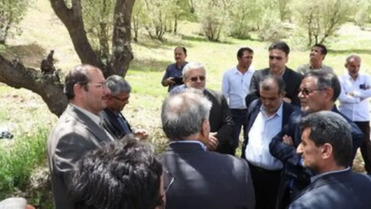 بیش از ۱۵ درصد از مساحت جنگل‌های زاگرس در چهارمحال و بختیاری مبتلا بر بیماری و آفت هستند