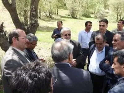 بیش از ۱۵ درصد از مساحت جنگل‌های زاگرس در چهارمحال و بختیاری مبتلا بر بیماری و آفت هستند