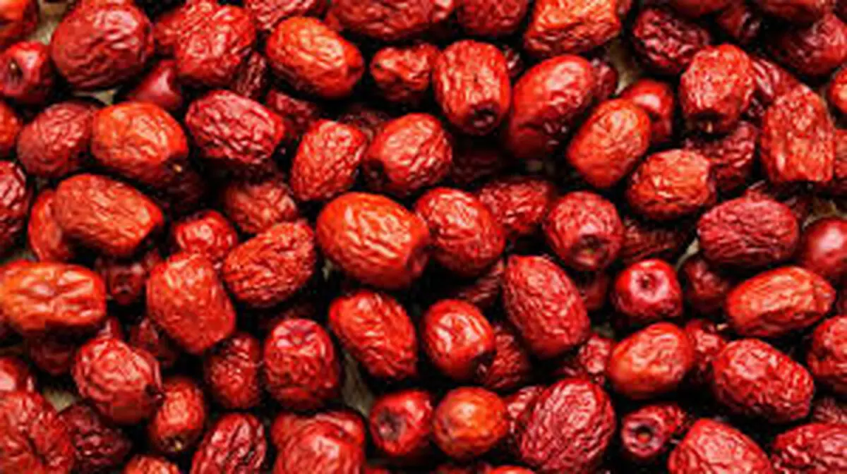 محافظ کبد در برابر چربی و التهاب؛ تازه بخوریم یا خشک؟