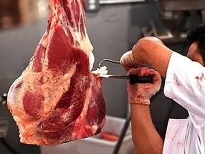 اشتغال بیش از یک‌هزار نفر مستقیم و غیرمستقیم در موسسه گوشت مشهد