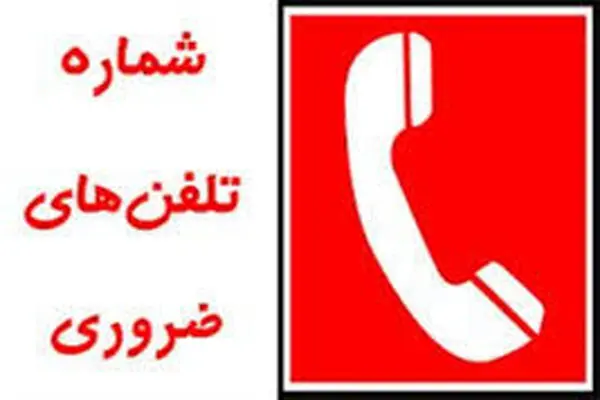 شماره هایی که یک روزی لازمتان می شود