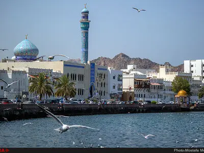 البرز در آستانه تبدیل‌شدن به کریدور صادراتی ایران به عمان/۴۸ واحد تولیدی استان دارای مجوز صادرات هستند