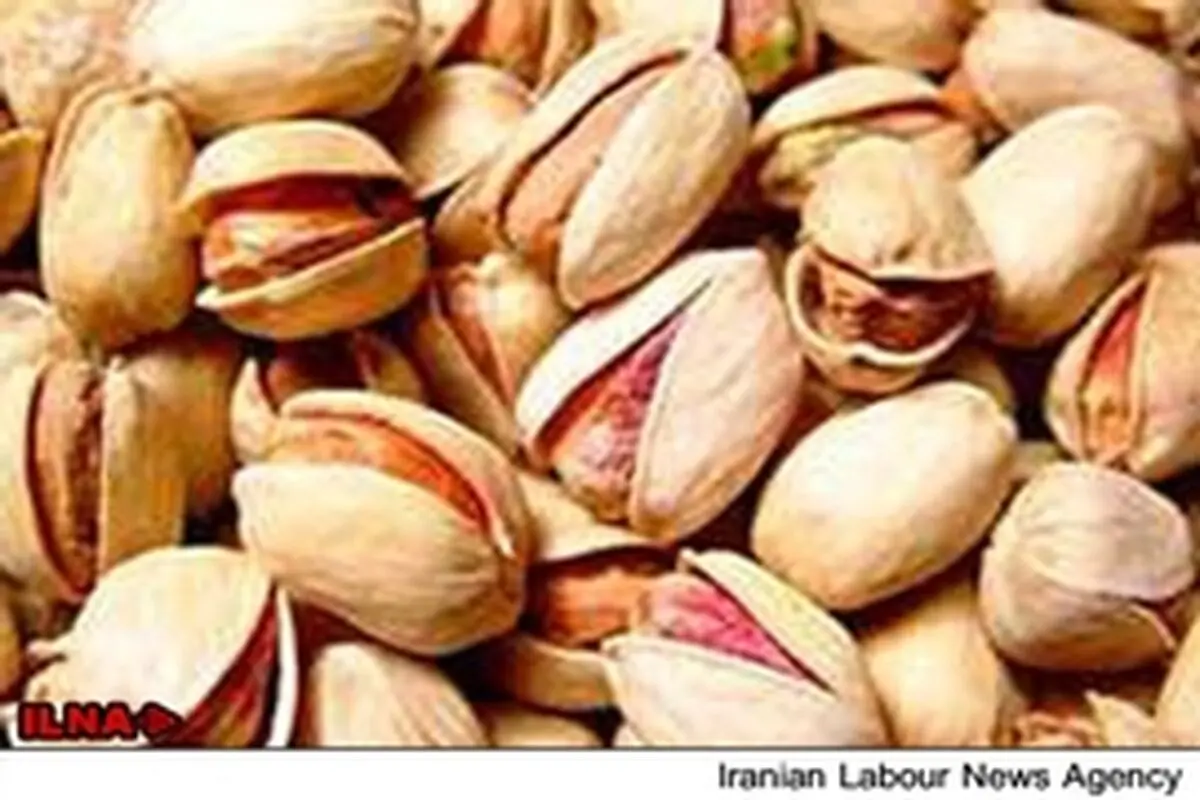 رشد ۷۰ درصدی صادرات پسته در ۹ ماهه اخیر / ۴.۵ درصد افزایش ارزش دلاری صادرات خرما