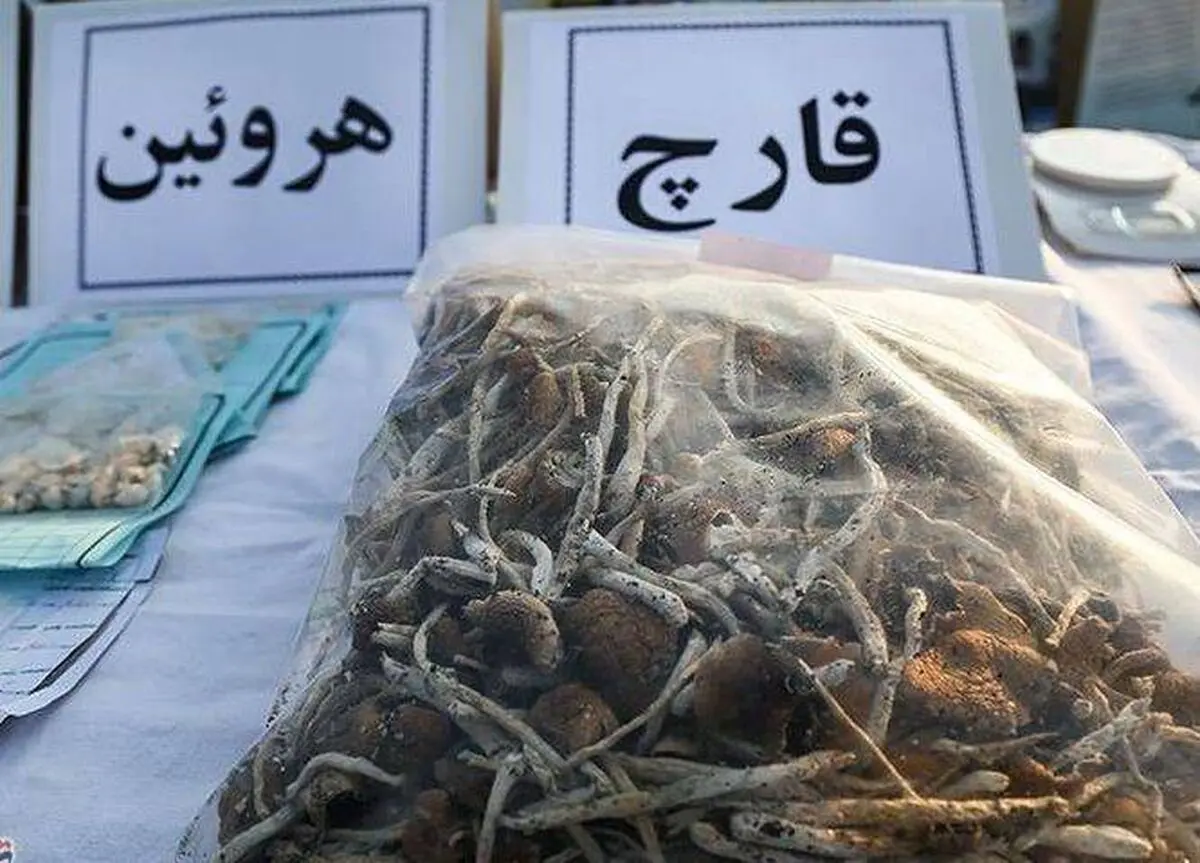 جزئیات کشف ۸ کیلوگرم مخدر ماشروم در تهران 
