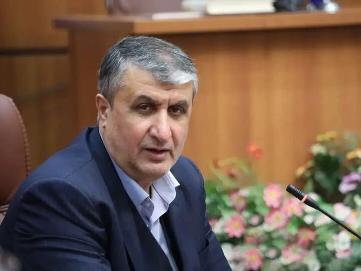 رئیس سازمان انرژی اتمی ایران درگذشت خواهر عراقچی را تسلیت گفت

