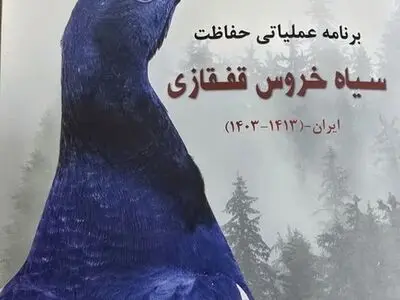 کتاب سیاه خروس قفقازی منتشر شد