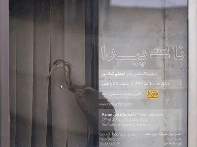 «نا-پیدا» اشیاء ذخیره شده در پشت پنجره‌ها