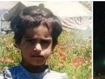 ادامه جست و جو برای دختر بچه گمشده در جنگل های کالپوش میامی