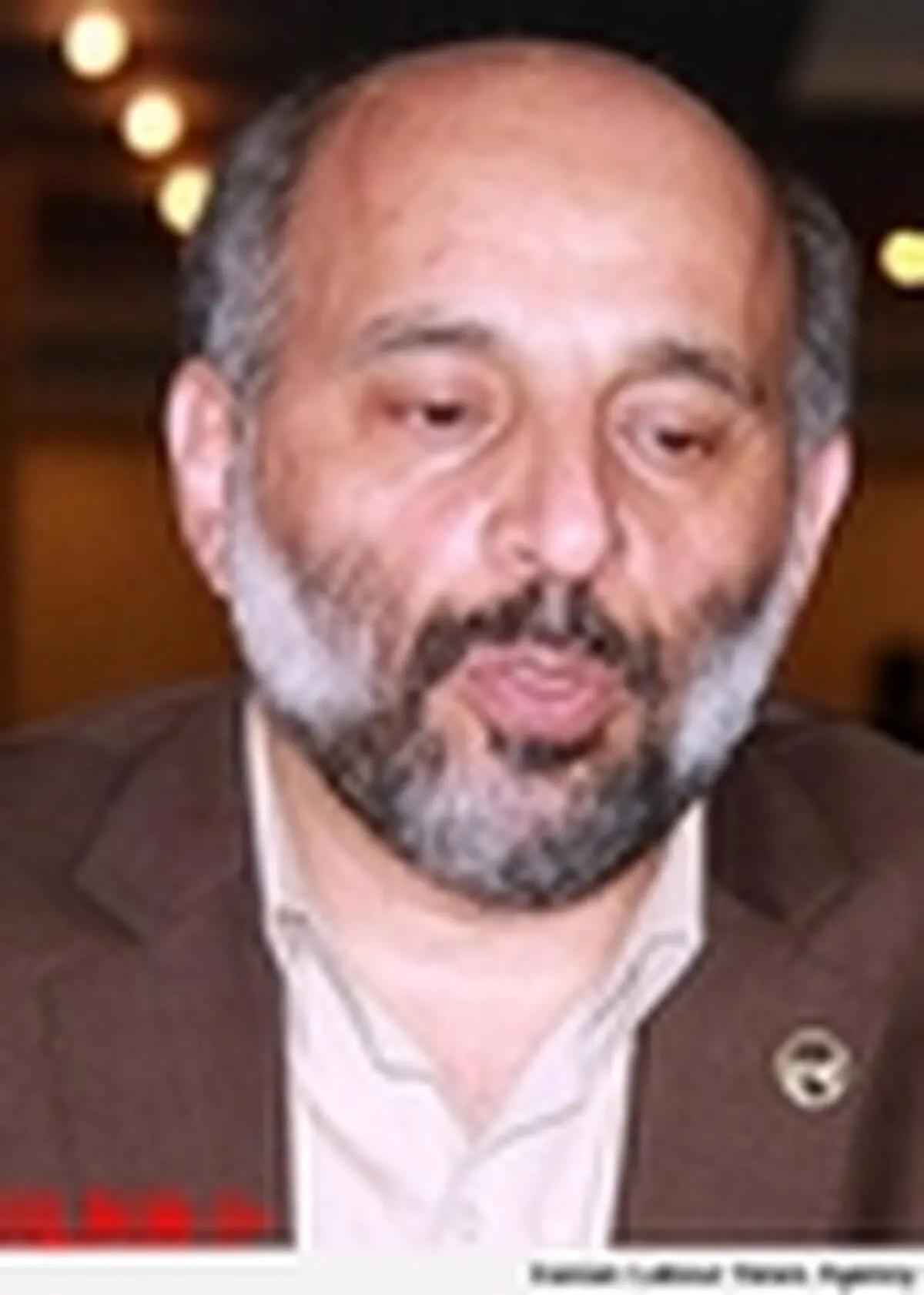 یکی از عوامل اصلی خاموشی‌ها سقوط شاخه درختان روی شبکه برق بود
