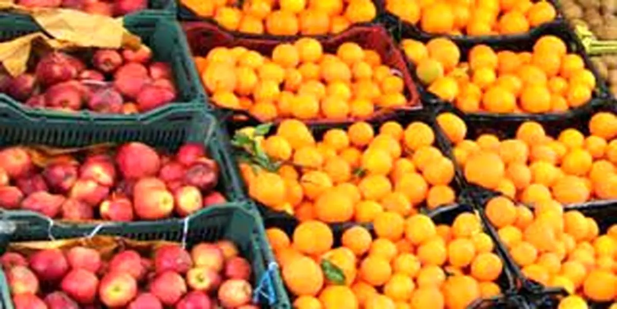 توزیع میوه طرح تنظیم بازار فارس آغاز شد 