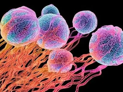 تمام دستگاه ها وظایف خود را برای مقابله با ویروس کرونا انجام دهند