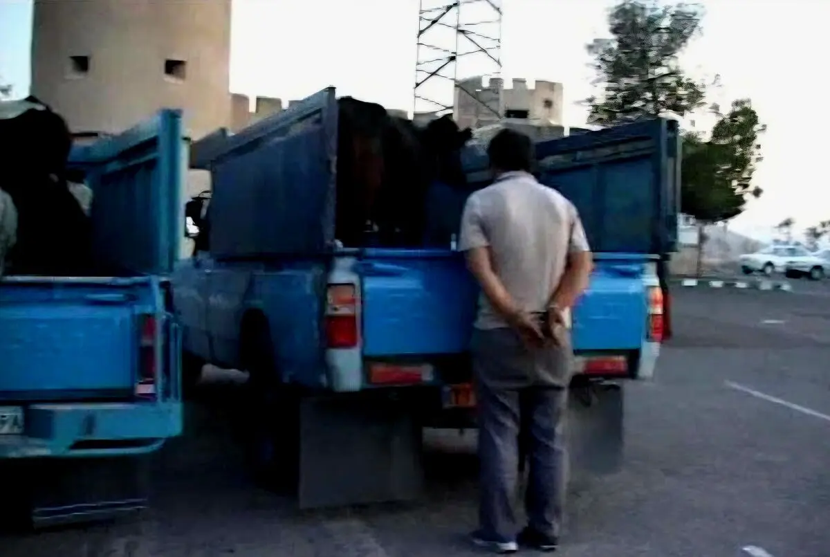 انهدام باند مسلح و خشن سارقان احشام؛ ۵ سرقت در پرونده
