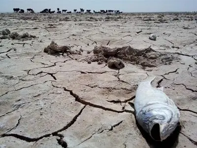 اختصاص یک میلیارد ریال به جبران خسارت خشکسالی محیط زیست در خراسان رضوی