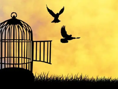 آزادی جوان گنبدی در شب میلاد امیرمومنان حضرت علی (ع) 