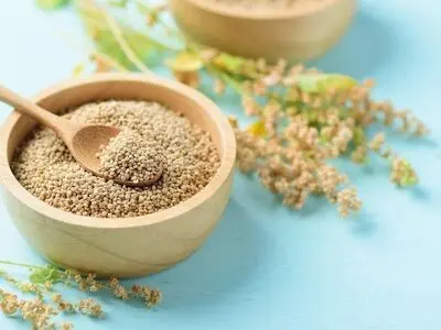 کینوا؛ دریچه‌ای نو به سمت تغذیه سالم