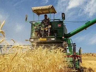 برداشت رقم جدید گندم برای نخستین بار در شمالغرب کشور، با بذر آناپورنا
