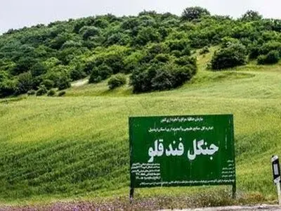 هشدار دادستان شهرستان نمین به متجاوزین به عرصه های ملی و منابع طبیعی