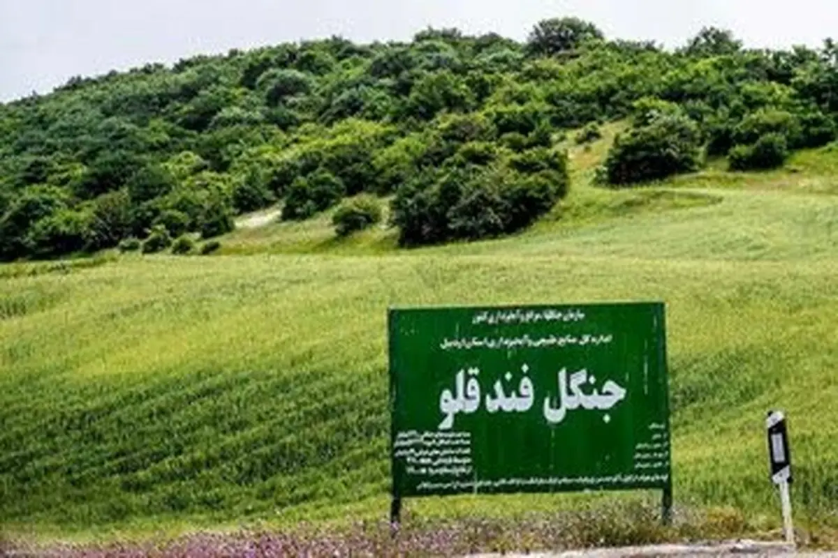هشدار دادستان شهرستان نمین به متجاوزین به عرصه های ملی و منابع طبیعی