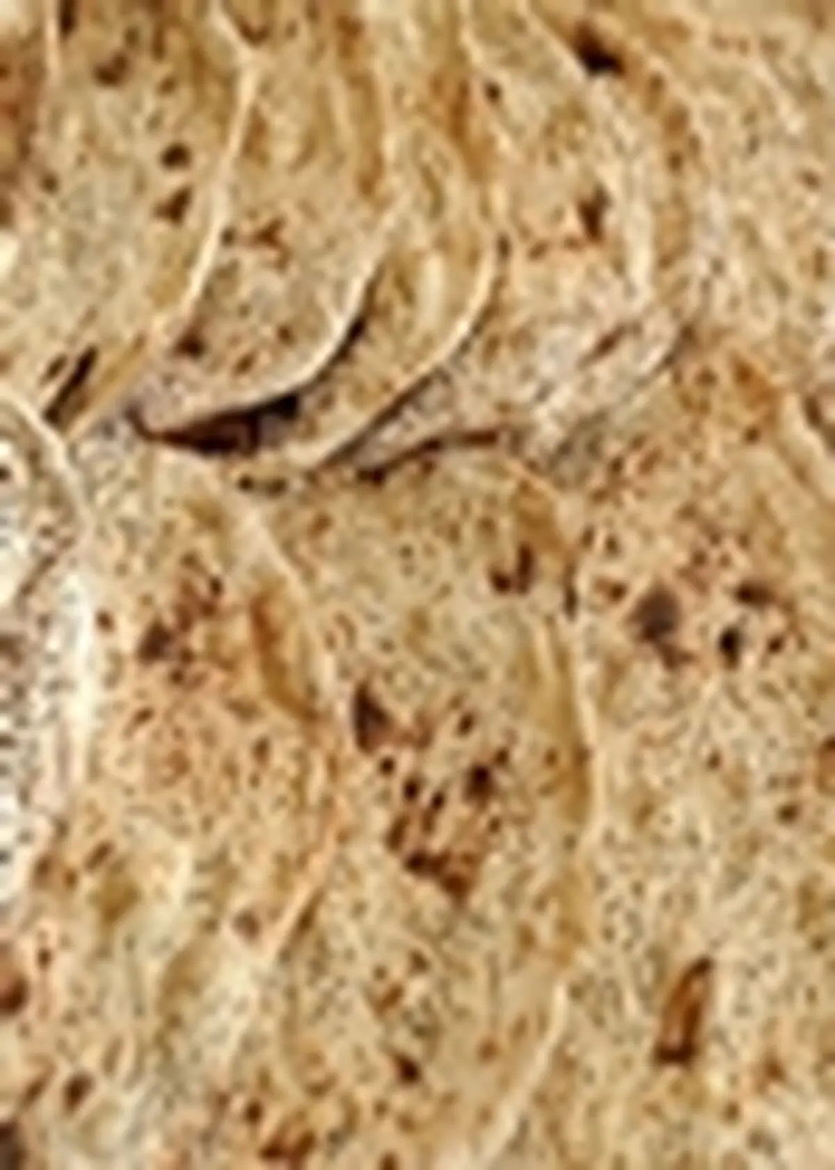 مصرف‌کنندگان مجبور هستند نان را گران بخرند