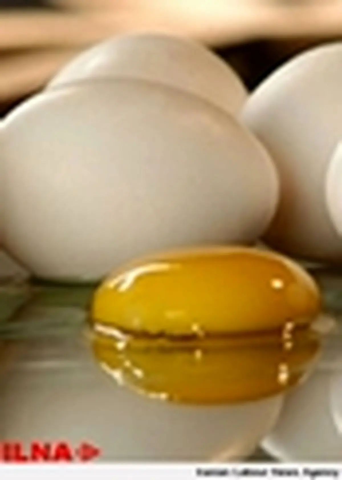 افزایش قیمت تخم مرغ خودسرانه بود