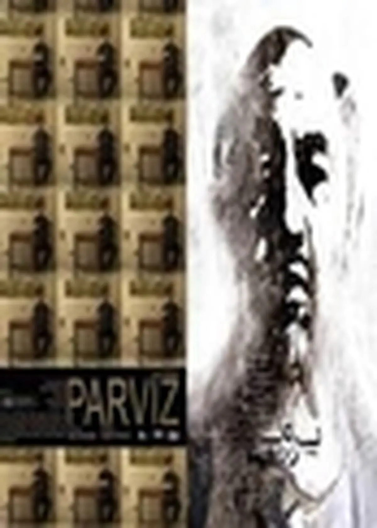 فیلم سینمایی " پرویز " به کارگردانی مجید برزگر