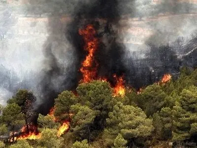 ۸۰ درصد آتش‌سوزی جنگل‌های هیرکانی مهار شد/ پایان عملیات تا غروب امروز