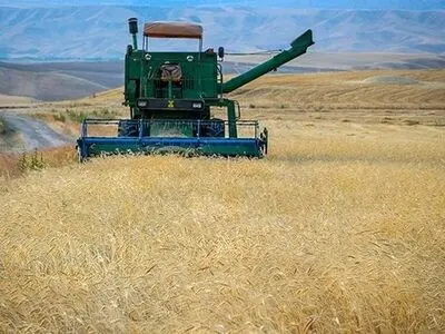 اجرای  ۲۲۸ هزار هکتار کشت فراسرزمینی/ توقف کشت ایرانیان در اوکراین با آغاز جنگ
