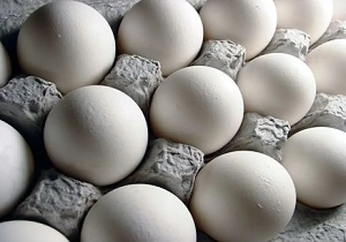 کشف بیش از 3 تن تخم مرغ غیر بهداشتی در آستارا 