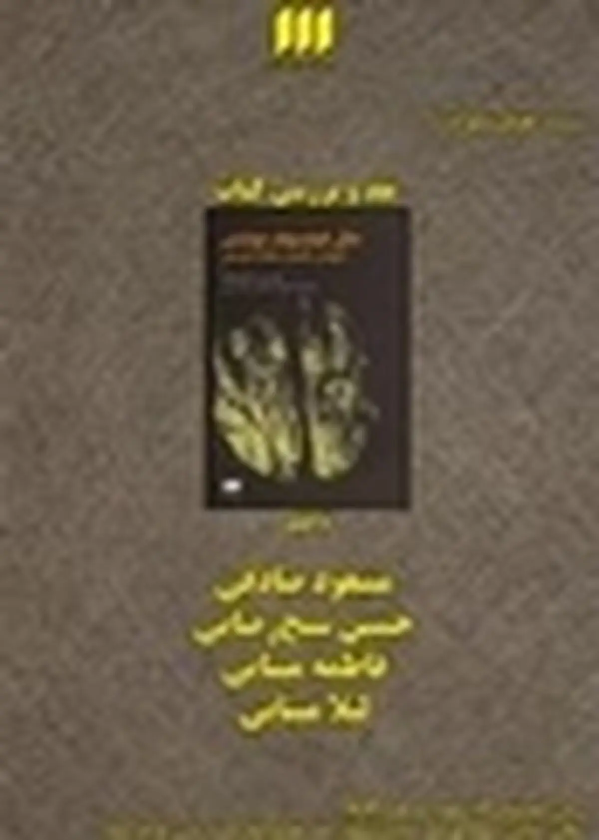 کتاب «مثل فیلسوف نوشتن» نقد می‌شود