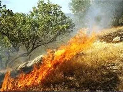 دستگیری عاملان آتش‌سوزی مراتع در مسجدسلیمان