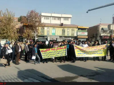 تجمع کارگزاران صندوق بیمه کشاورزی / مجلسی‌ها تعیین تکلیف را عقب نیندازند