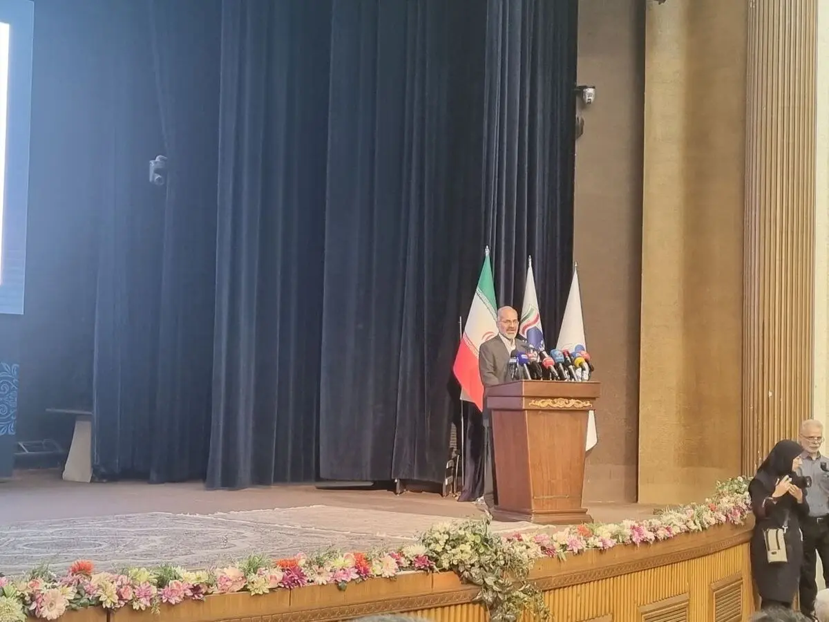 ۸۵ درصد صنعت فضایی در ایران دولتی است