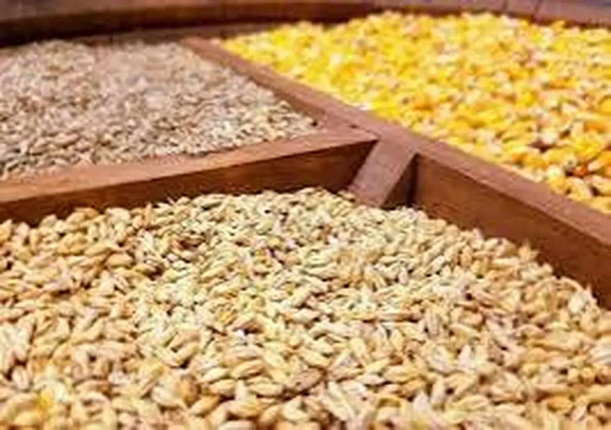 سقف قیمت ارزی کالاهای اساسی و نهاده ها ابلاغ شد