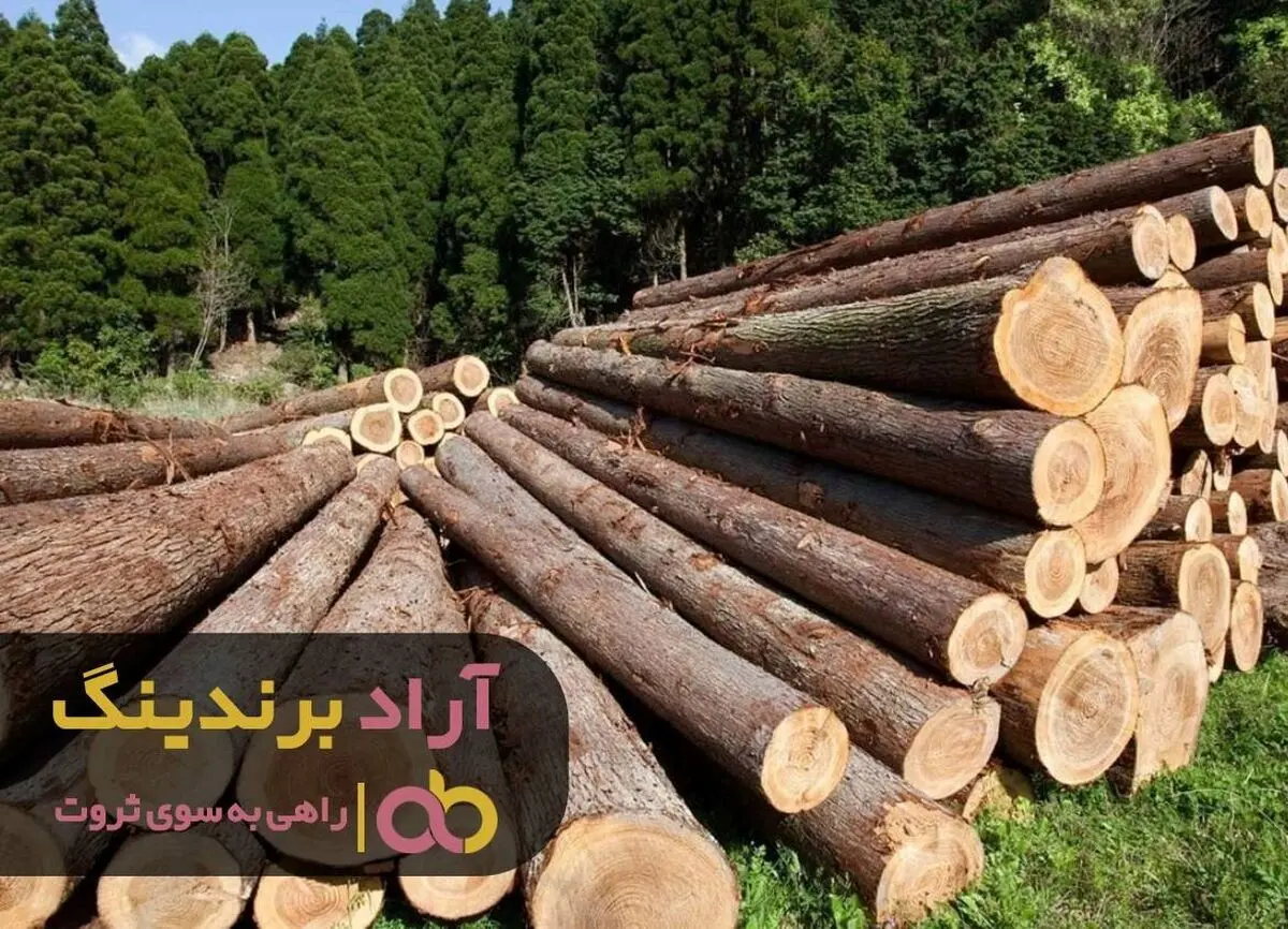 از تکنیک های من استفاده کنید و به ثروت برسید