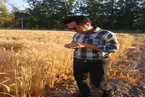 دیم‌کاری راهبردی برای عبور از بحران آب است/ ۸۲ درصد منابع آب فارس از منابع زیرزمینی تأمین می‌شود